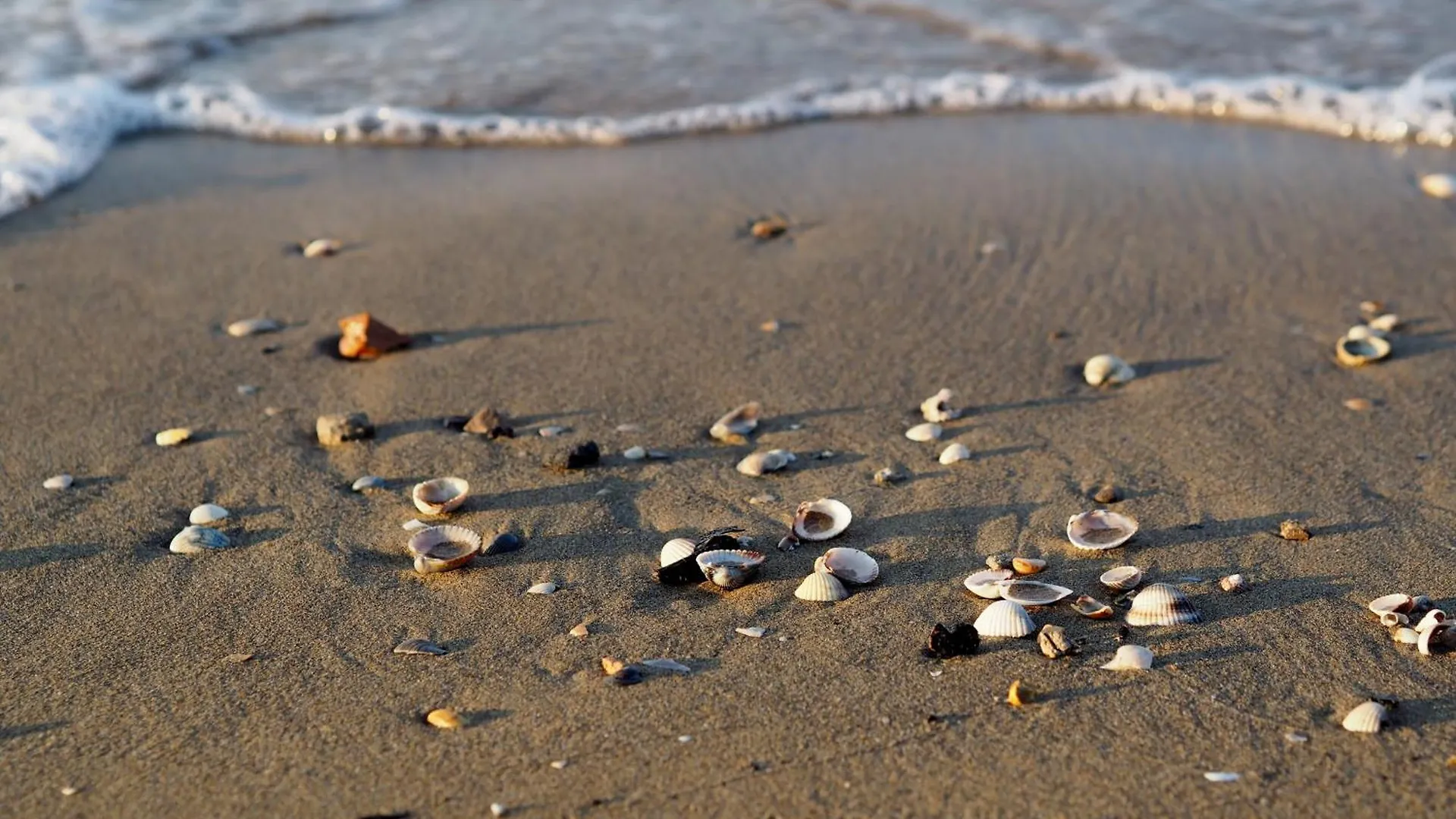 Lovely One Bedroom Apartment Close To The Beach Bibione